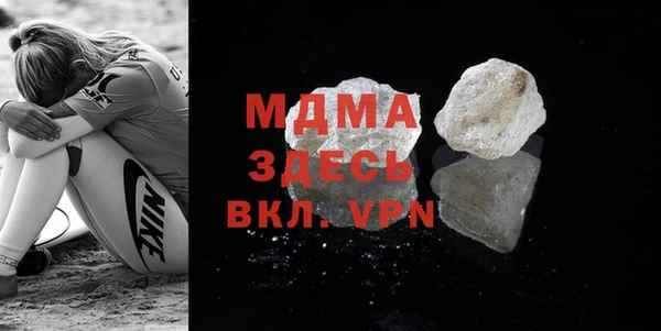 индика Новозыбков